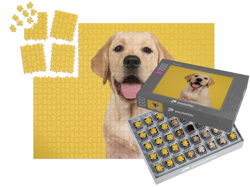 SMART SORTED Puzzle fotográfico 1000 peças com caixa