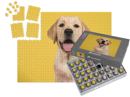 SMART SORTED Puzzle fotográfico 1000 peças com caixa